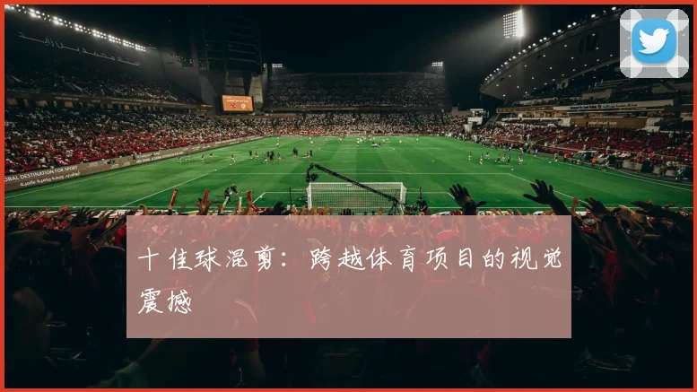十佳球混剪：跨越体育项目的视觉震撼
